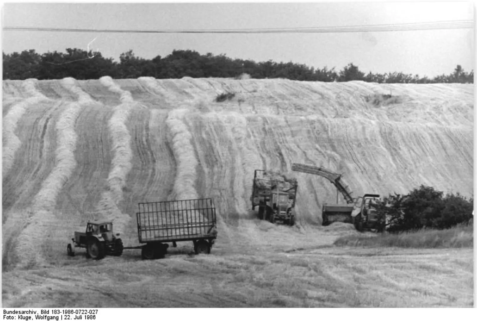 Traktor s lisem Fortschritt K 453 sbírá slámu