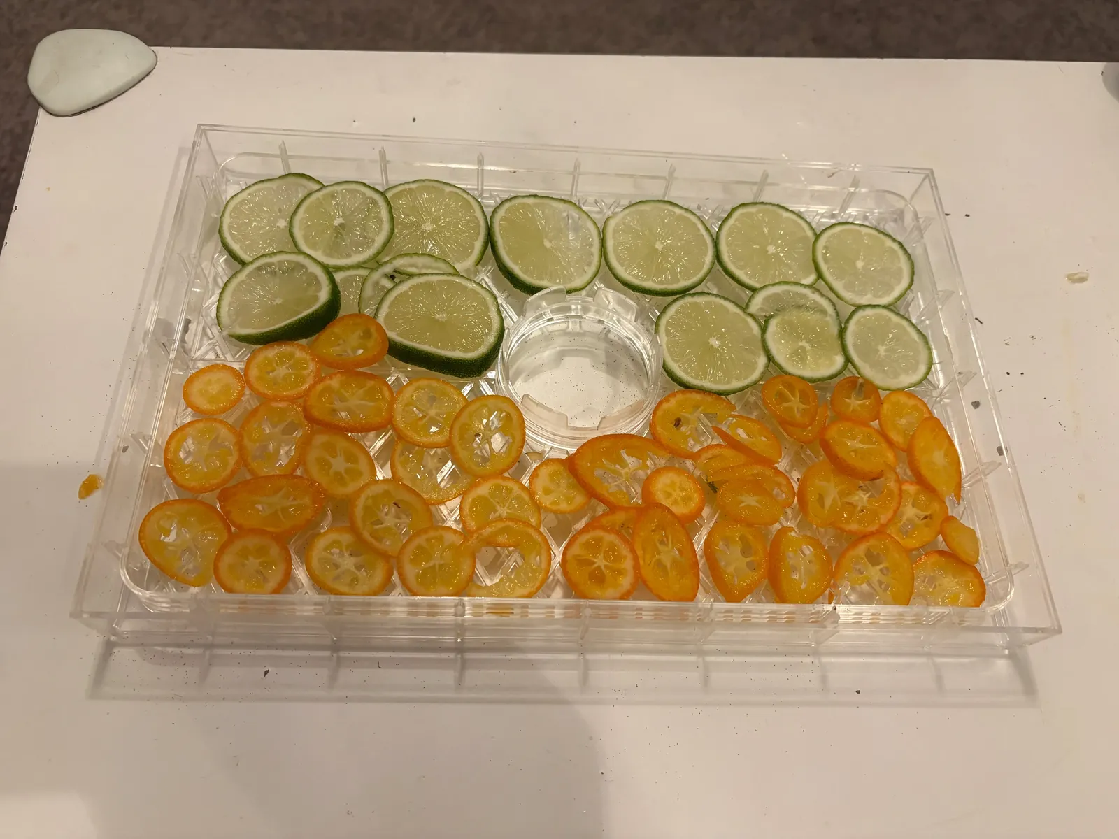 Kolečka limety a kumquatu vedle sebe na sítu sušičky